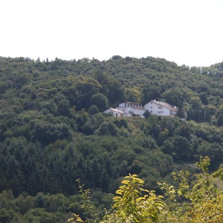 Burg-Hotel Obermoschel Bagian luar foto