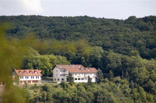 Burg-Hotel Obermoschel Bagian luar foto
