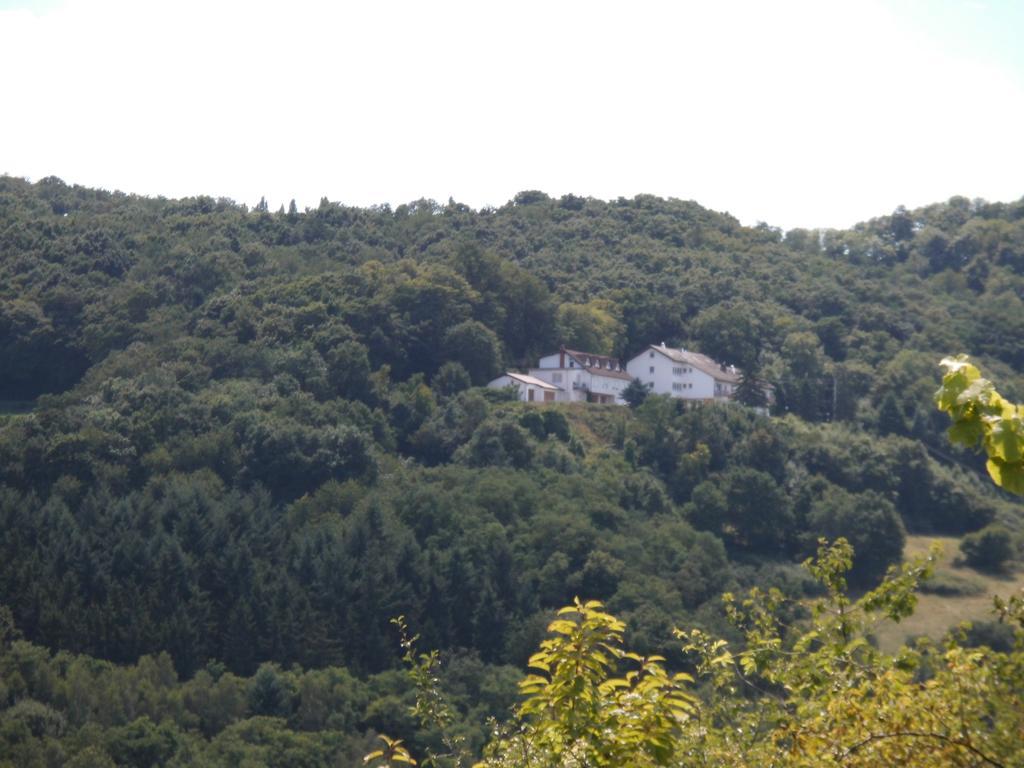 Burg-Hotel Obermoschel Bagian luar foto